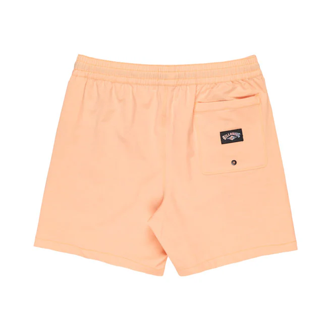 Billabong | Short de Bain Homme Every Other Day - Image 10