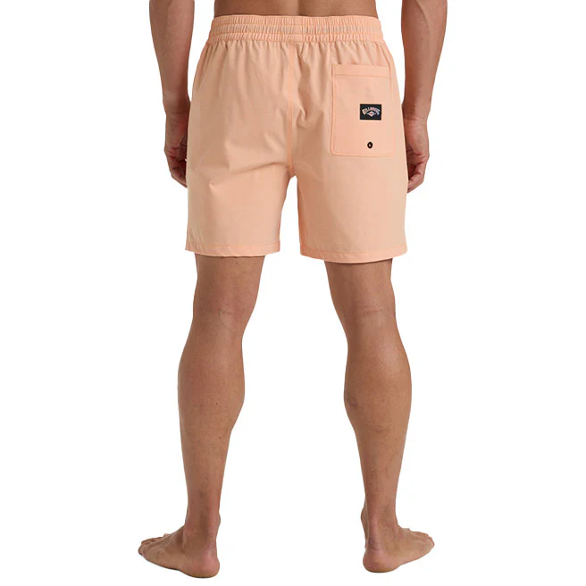 Billabong | Short de Bain Homme Every Other Day - Image 41