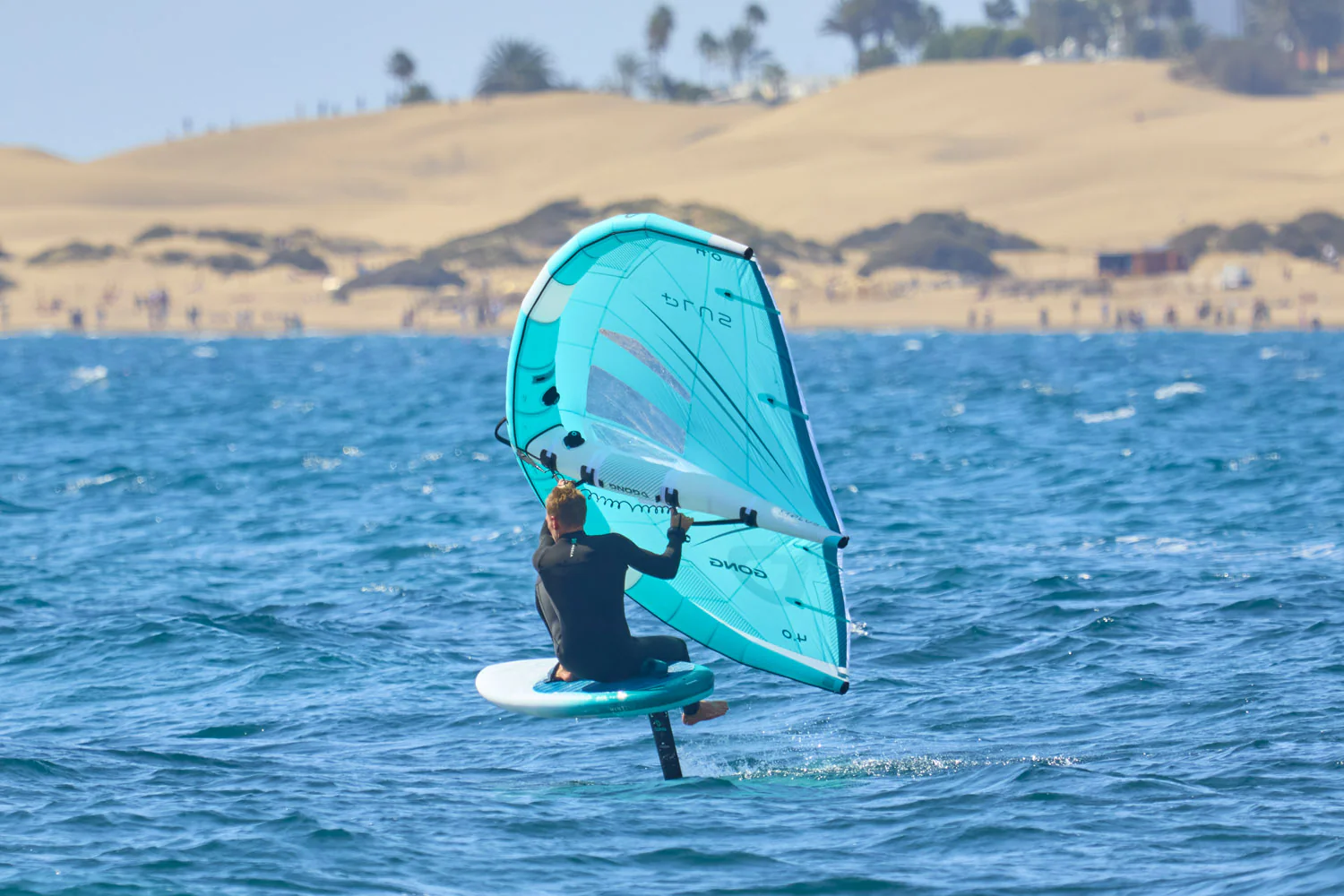 GONG | Foil Carbon Mast 85 cm V3 - Image 10