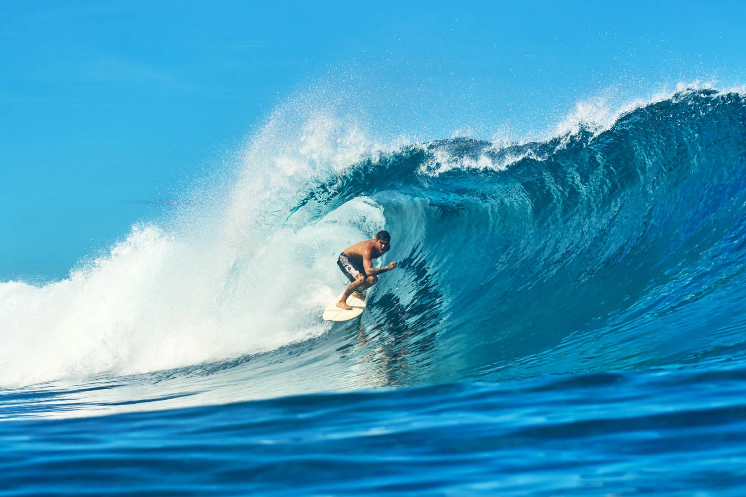 GONG | Surf Chemical EPS Pro - Image 17