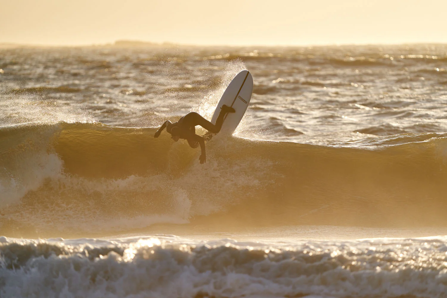 GONG | Surf Devil'S Tongue EPS - Image 13