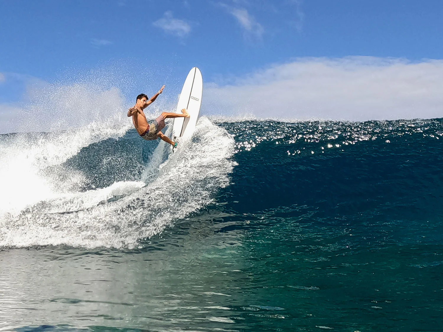 GONG | Surf Devil'S Tongue EPS - Image 15
