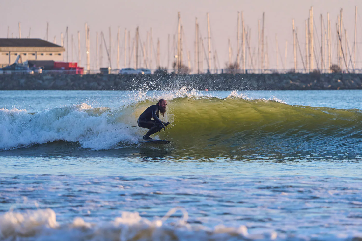 GONG | Surf Frank EPS - Image 19