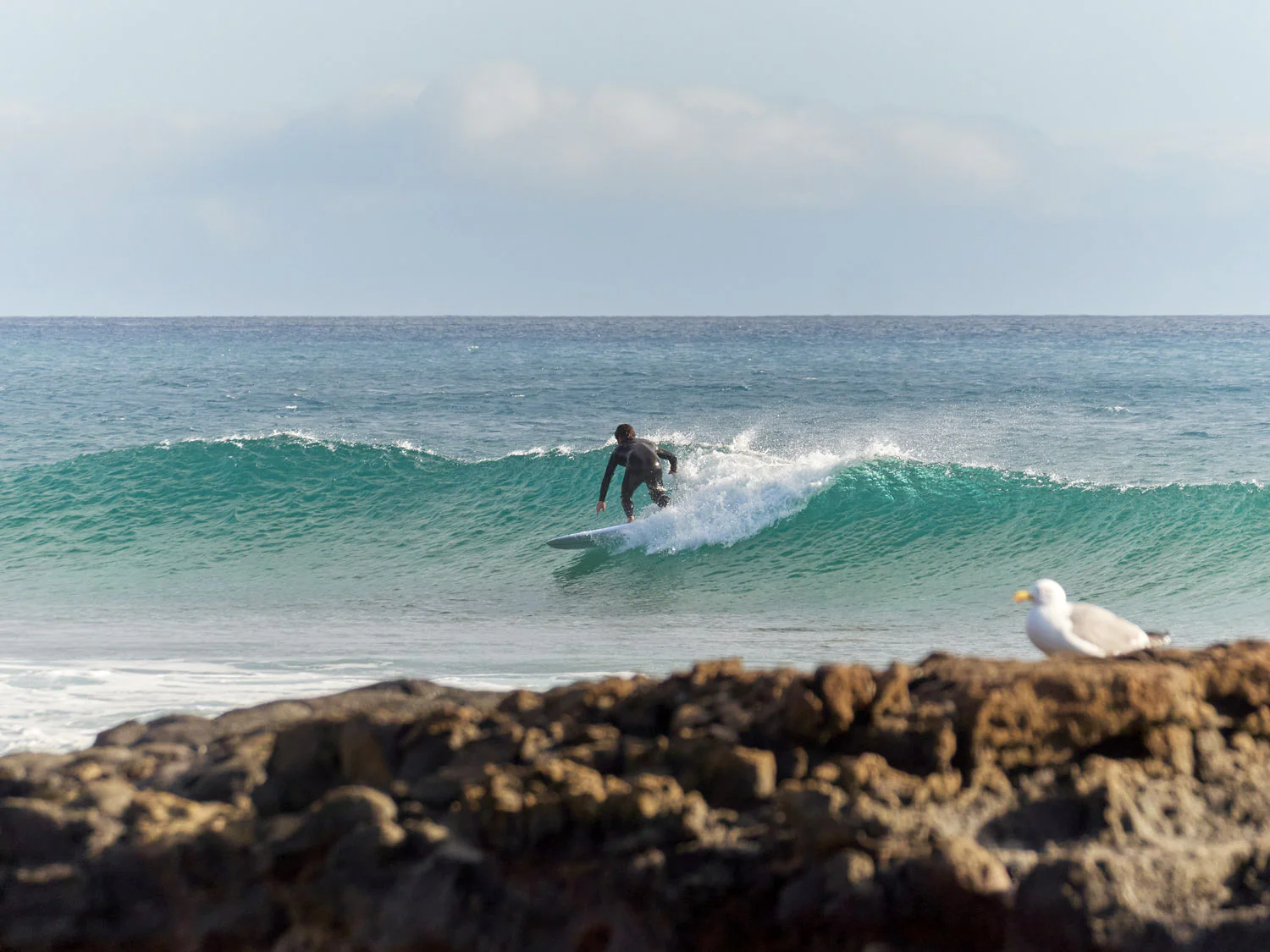 GONG | Surf Matata Pure Origin - Image 19