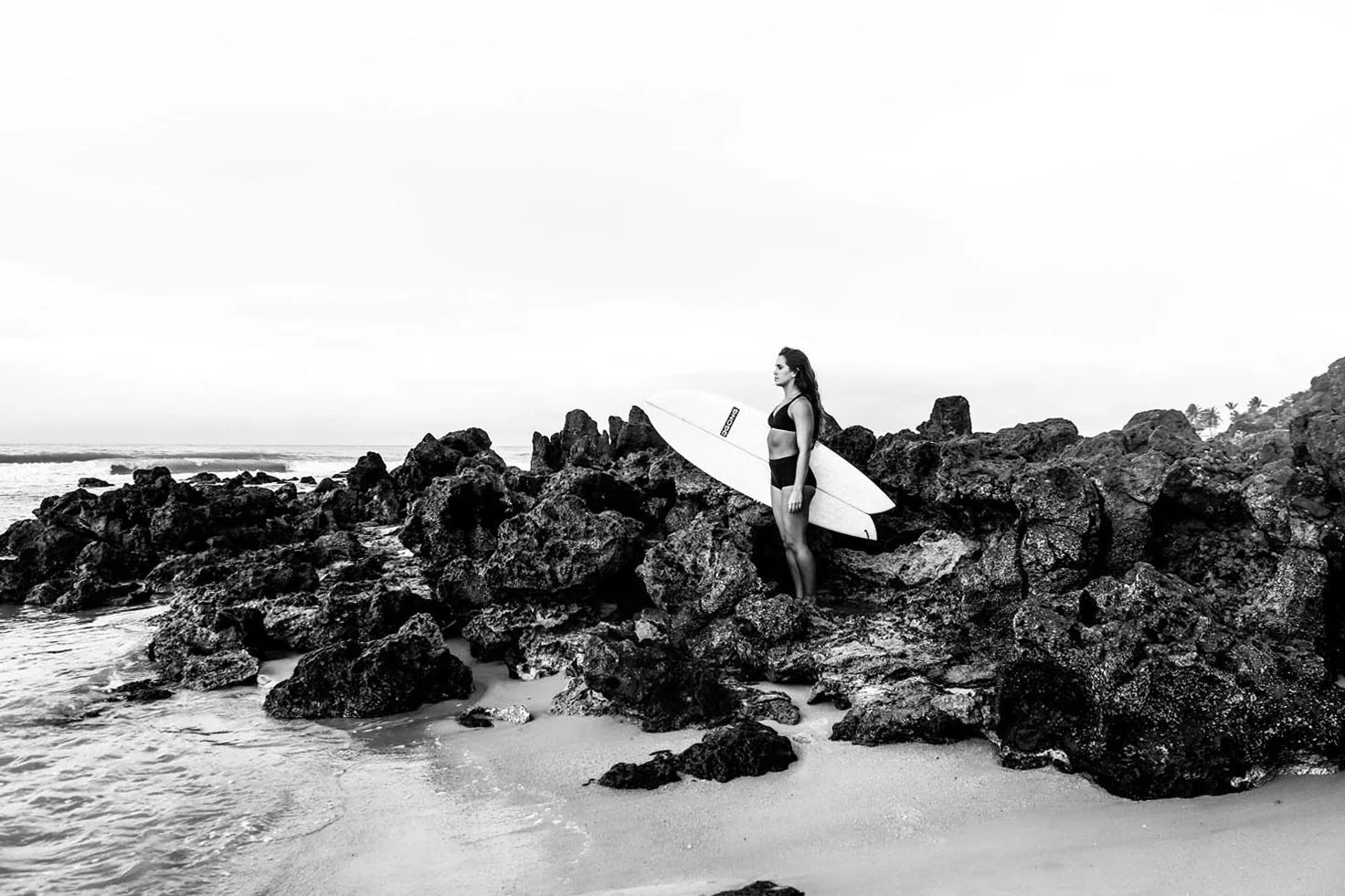 GONG | Surf Pie Origin 2.0 - Image 18