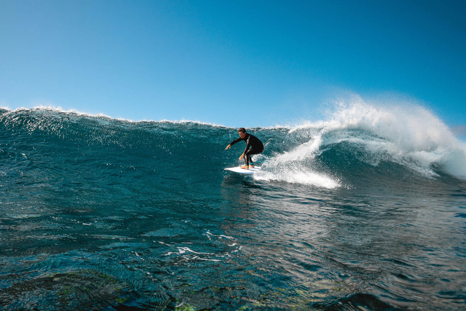 GONG | Surf Vibe PU - Image 10